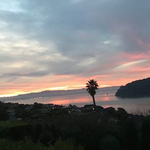 Meet your Posher, Bella